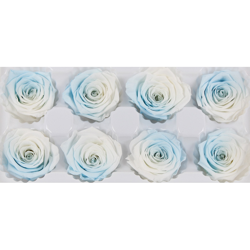 4-5cm Preserved Rose Heads Gorgeous Flower Color Easy Matching Other Colors