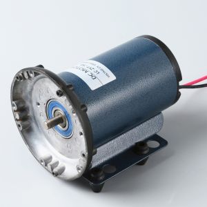 China FLOWDRIVER DC brush motor LC-ZYT-76B 2310RPM 80W wholesale