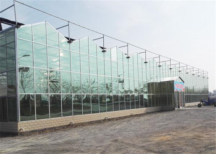Low Cost Large Glass Greenhouse , Backyard Greenhouse Kit Electrical Or Water Heating System