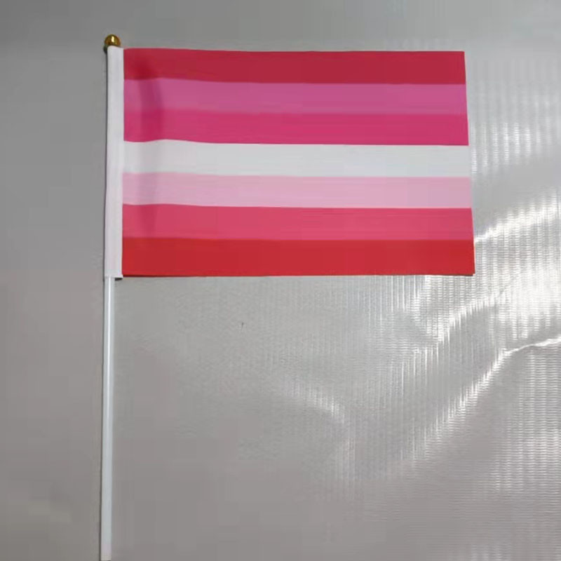 Customize Size Hand Held Pride Flag 14cmx21cm With Plastic Pole