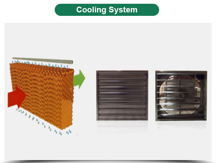 High Tunnel Agricultural Greenhouse for Tomato Cultivation Single Layer Film Cover