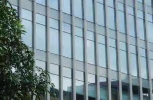 China Insulated Glass Curtain Wall Office Building Customized Design wholesale