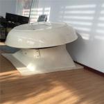 Air Conditioning Ventilation Centrifugal Fan Roof Fan with Popular Discount and