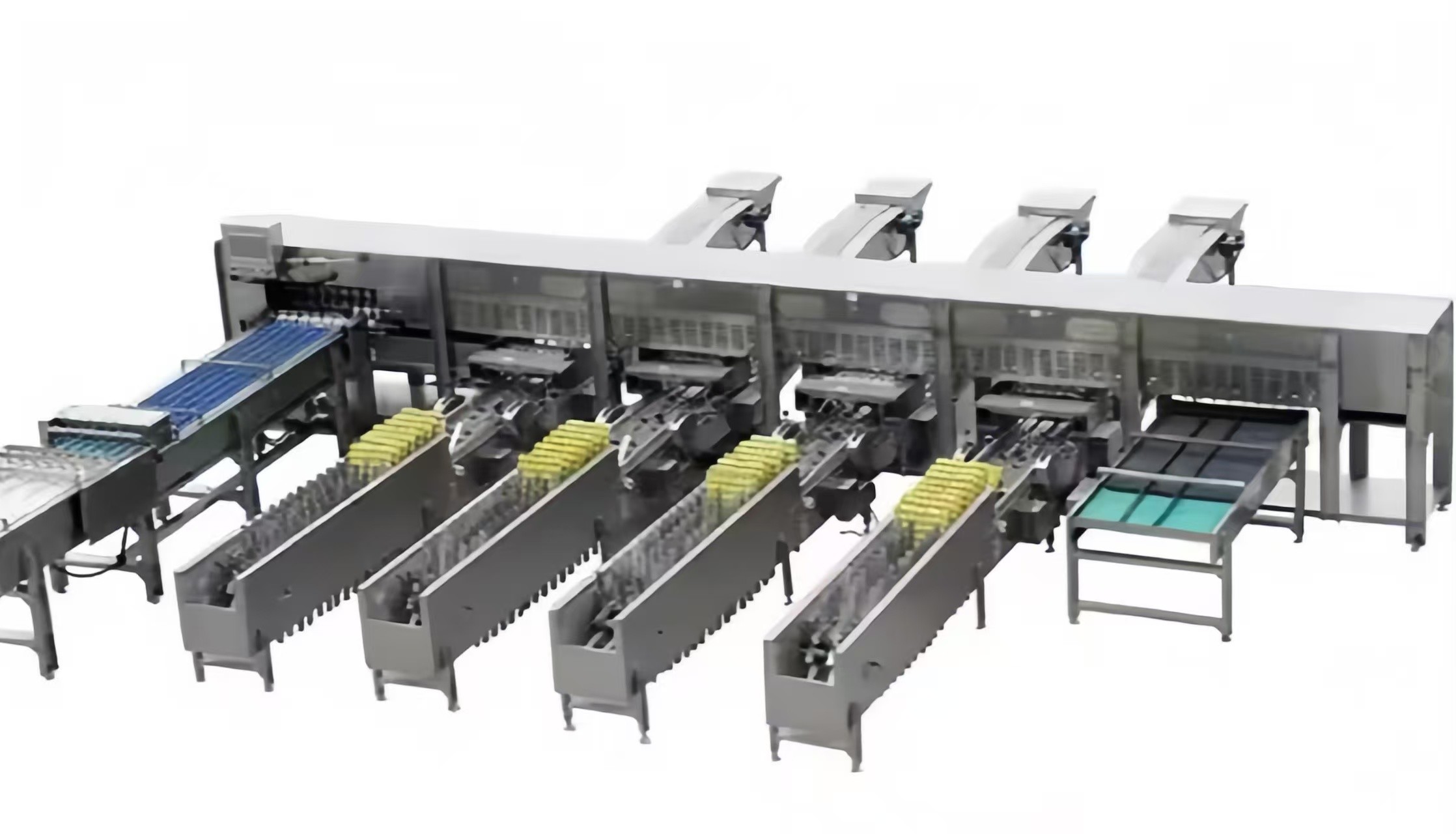 5000Pcs/H Poultry Farm Chicken Egg Cleaning Machine Stainless Steel Duck Egg Washing Machine