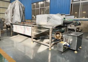 China Food Industry Fruit Vegetable Chili Air Bubble Washing Machine wholesale