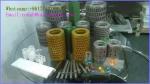 Vegetable Gelatin Robbion Spreder Box Injection Wedge Pump Softgel Capsule