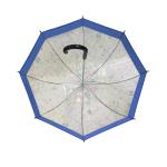 Automatic Open Apollo Transparent Bubble Umbrella