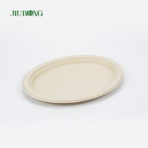 China Noodle Biodegradable sugarcane food packaging Disposable Matt Lamination wholesale