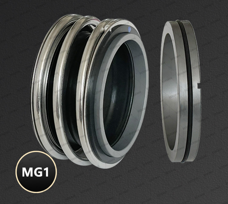 BERGMAN 109/MG1-12mm-110mm G60 G4 G6 G9 G13 G16 BS Bo BP Pump Mechanical Seal