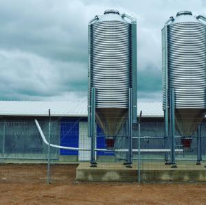 China High Stable Prefabricated Light Steel Structure Farm Sheds Poultry House Building wholesale