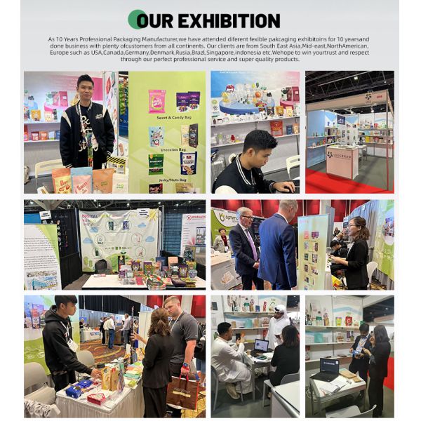 Custom Disposable PE Zip Lock Aluminum Foil Stand Pouch Moisture Proof Plastic Digital Printing Food Packaging Bags