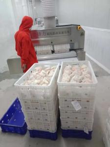 China 1200kg/H 1000kg/H Air Blast Ultra Low Chest Freezer Seafood Minus 120C wholesale