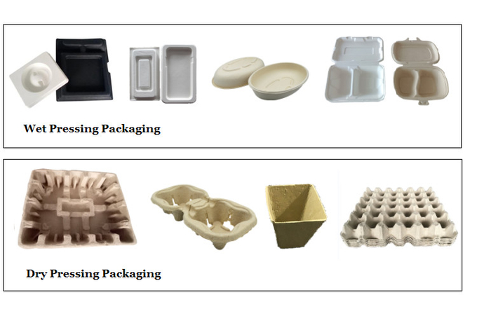Trays Bagasse Pulp Molding Machine Manufacturers Automated