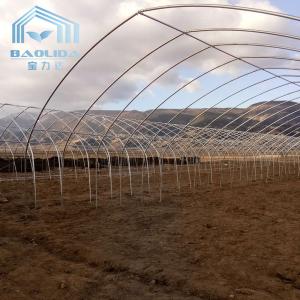 China Agriculture Plants Growing Farming Polyethylene Film Single Span Tunnel Plastic Greenhouse wholesale