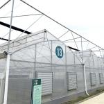 Tropical Climate Multi-span Wind Resistant Poly Tunnel Sawtooth Greenhouse