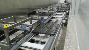 China Hygienic Butter Bun Bread Proofer wholesale