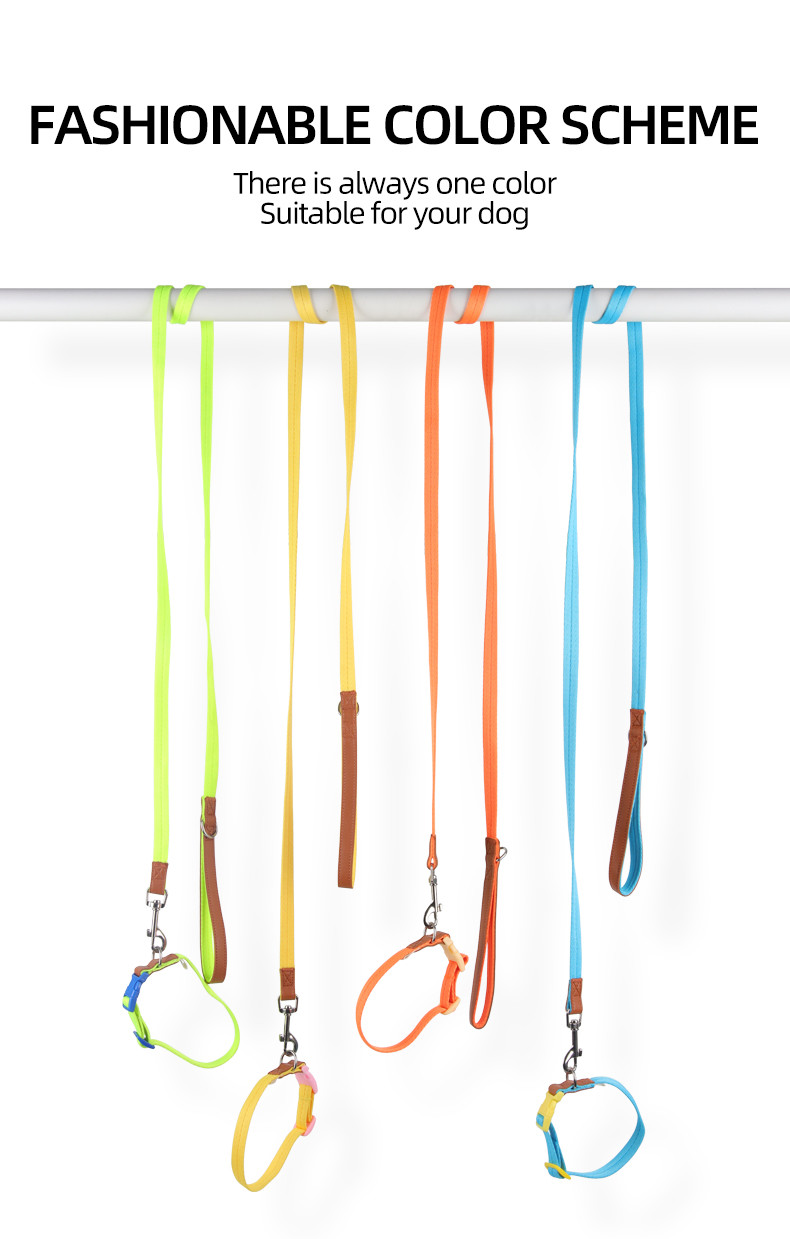 Pet Lightweight Multicolor Anti-Escape Pet Collar And Leash Set For Training Walking Dogs