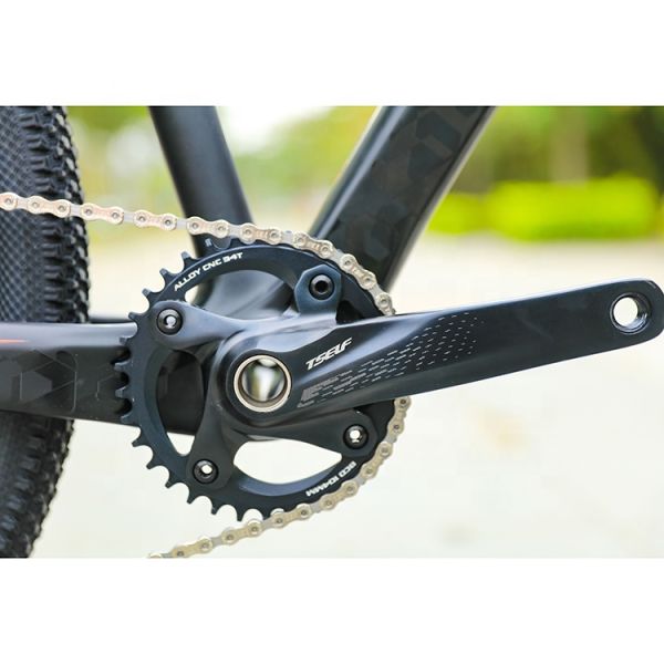 MTB 29 Inch Aluminum Alloy Mountain Bike With 12 Speed Disc Brake Downhill Bicycle