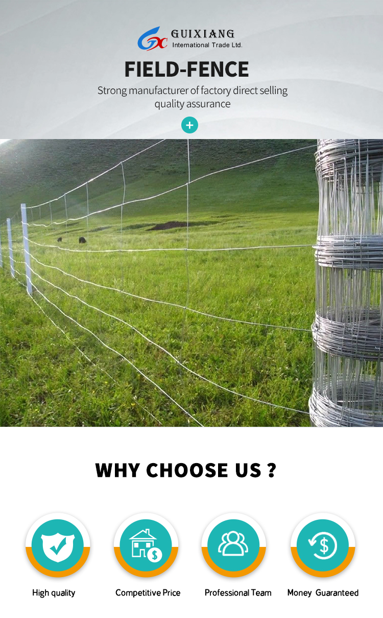 Anping manufacturers directly sell galvanized rust-proof wire mesh breeding fence fence cattle and sheep block