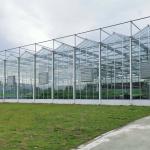 Multi-span Agricultural Greenhouses Venlo Tempered Glass Greenhouse With