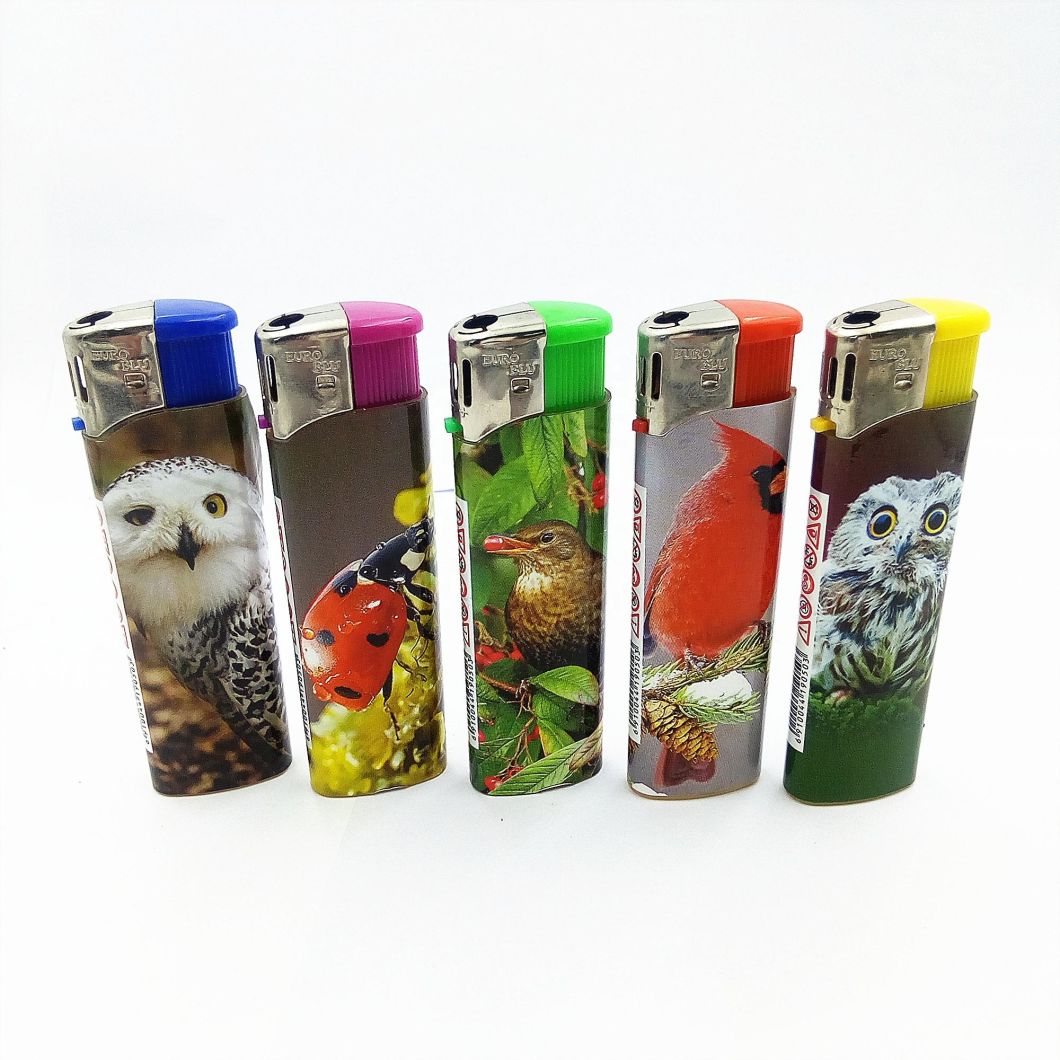 Cheapest Windproof Electric Lighter LED Disposable Cigarette Lighter