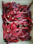 15% Moisture Sweet Paprika Pepper Pungent Dried Chili Pods 18CM