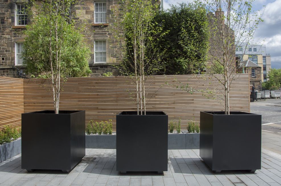Rectangular Modern Fiberglass Planters Customized 30-Day Crafted Timeless