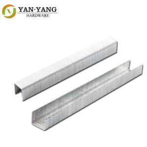 China Furniture hardware 22 gauge industry staples 1308 length 8 mm wholesale