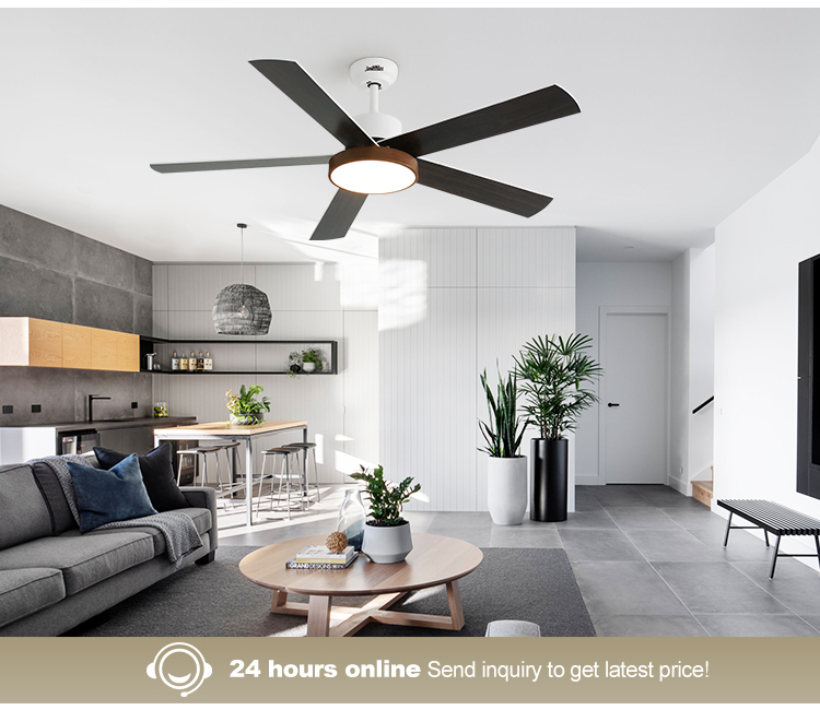 OEM LED Ceiling Fan 54 Inch 6 Speeds Remote Control Dimmable Light 3 Color Options