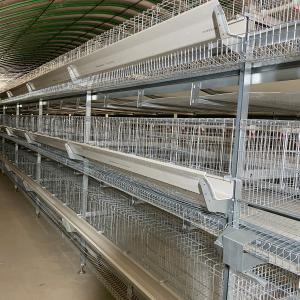 China Hot Dipped Galvanized Chicken Farm Cage 5 Layers / Cell wholesale