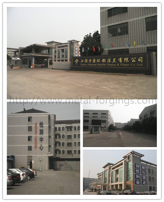 Large Stainless Steel Forging F304 F316 F51 F53 F55 F60 F321 F316Ti Hot Rolled Ring