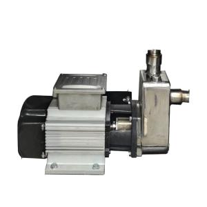 China Good Quality Bernet Stainless Def25s Adblue Pump Urea Pump for Def Dispenser wholesale