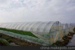 Agriculture Hail Protection Netting For Vegetable Greenhouse Tunnel Farming