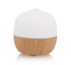 China Alexa Voice Control Tuya Essential Oil Smart Aroma Diffuser wholesale