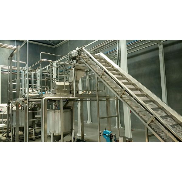 Complete Kale Processing Line Celery/Kale/Cucumber Production Plant Customized Equipment For Vegetable Industry