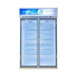 5 Layers Shelves Silver Champagne Color Glass Door Freezer For Frozen Sea Food