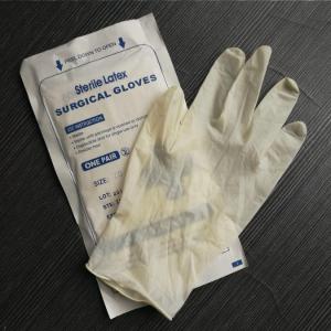 China Medical sterile latex surgical gloves wholesale