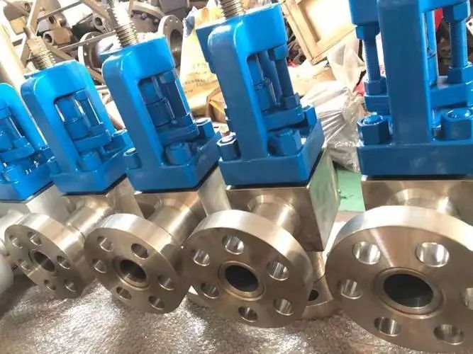 304/316 Stainless Steel Manual Check Valve for High-Temperature Applications for Gas Oil and Other Media OEM and ODM Supported