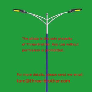 China Dual brackets lighting columns Model No. TBP-16D wholesale