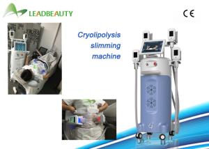 China Salon Use Fat Freezing cryolipolysis fat freeze slimming machine wholesale