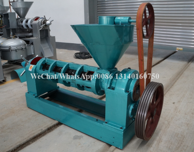 80-125kg/H Nuts Processing Machine Shea Automatic Oil Extraction Machine