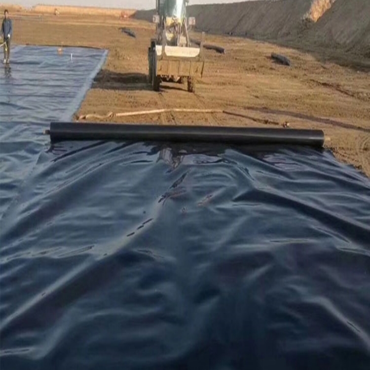 Modern Design Prefabricated HDPE Smooth Geomembranes Fish Pond Liner 0.5mm 1mm for Water Storage Tanks