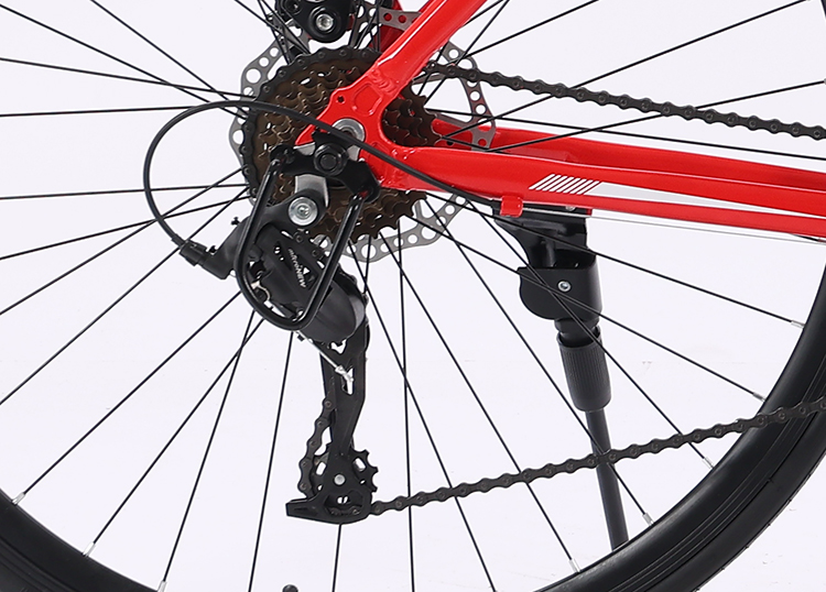 Aluminum Alloy Frame 700C Road Bike B2B Customization Racing City Bike with Carton Size 135*19*72cm