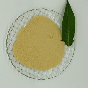 China CAS 643-79-8 Cosmetics Raw Materials OPA O Phthalaldehyde wholesale