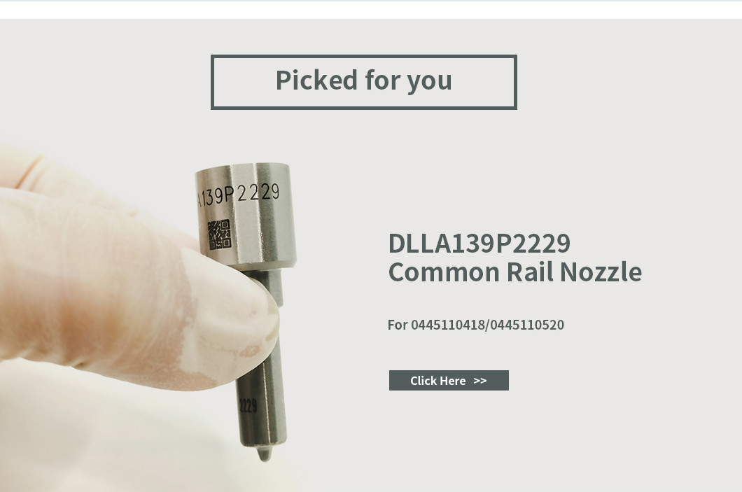 0445110418 Bosch Injector Repair Kit