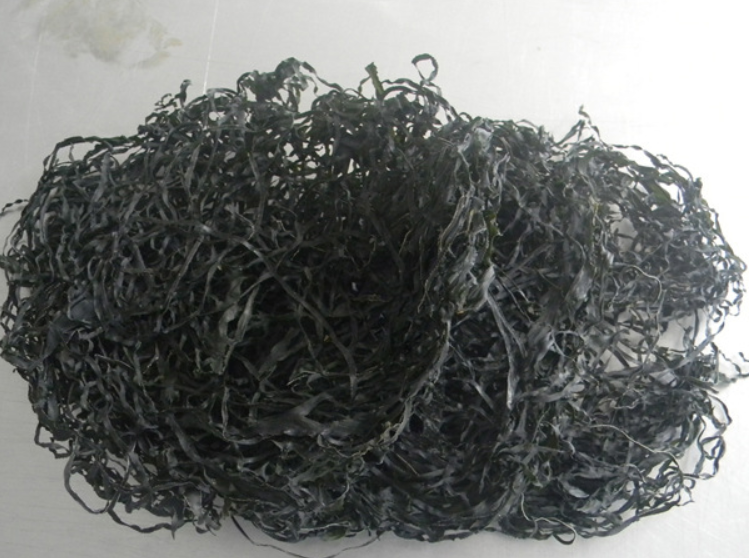 Seaweeds Continuous Vacuum Conveyor Belt Dryer 450 -1200kg/H