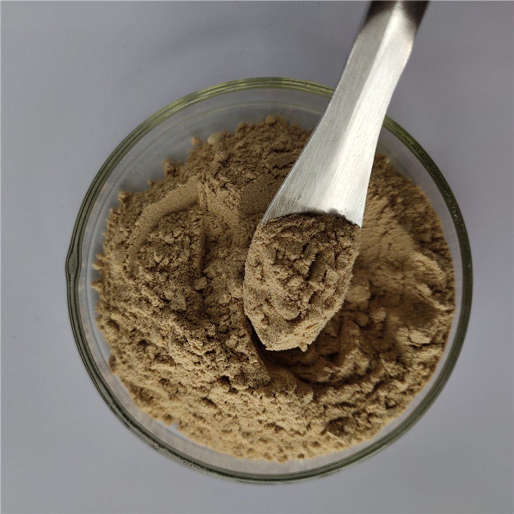 Pure Natural Nutrition Supplement Extract Brown Algae With Best Price