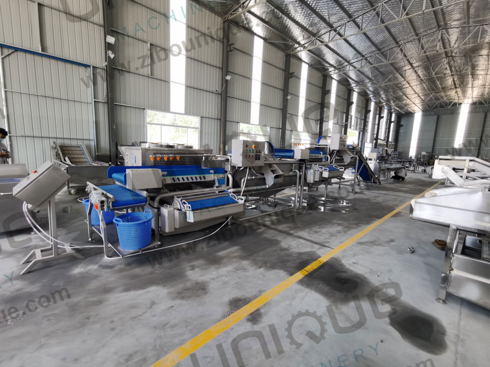 Vegetable Washing Machine 2200 KG for Leafy Greens Cutter and Commercial Fruit Salad