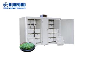 China 250kg/D Hydroponic Fodder Machine For Dairy Livestock Barley wholesale