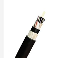 China GYFTY63 48 Core Outdoor Armored Fiber Optic Cable Longitudinal Steel Tape wholesale